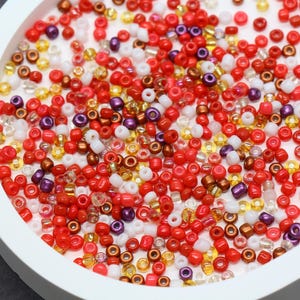 Mix Red Glass Seed Beads, Size 3mm Glass Seed Beads, Mix Seed Beads, Rocailles Beads, Bracelet Beads #3706