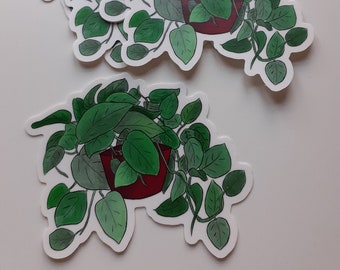 Pothos Houseplant Weatherproof Vinyl Sticker