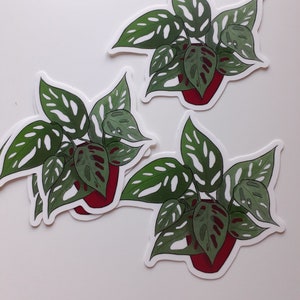 Monstera Houseplant Weatherproof Vinyl Sticker