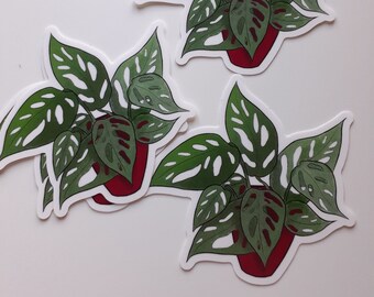 Monstera Houseplant Weatherproof Vinyl Sticker