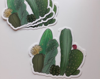 Cactus Variety Weatherproof Vinyl Sticker