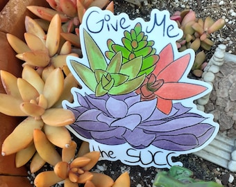 Succulent 'Give Me The Succ' Plant Pun Weatherproof Vinyl Sticker