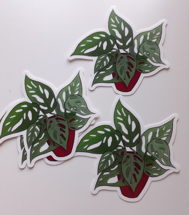 Monstera Houseplant Weatherproof Vinyl Sticker image 1