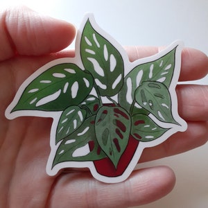 Monstera Houseplant Weatherproof Vinyl Sticker image 2