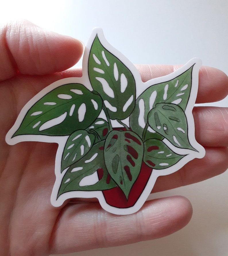 Monstera Houseplant Weatherproof Vinyl Sticker image 2