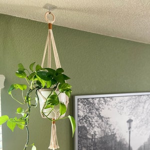May include: A hanging macrame plant holder with a wooden ring and a green potted plant with trailing vines. The plant holder is made of natural white cotton cord with a brown tassel.