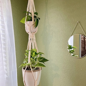 May include: A white macrame plant hanger with two white ceramic pots and green plants hanging from it. The hanger is attached to a wooden ring. The hanger is hanging on a green wall with a gold mirror on the right side of the image.