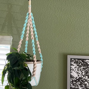 Pode incluir: Um suporte de plantas de macramé com um design de corda azul claro e bege pendurado em um gancho em uma parede verde. Uma planta em vaso está pendurada no suporte de plantas de macramé.