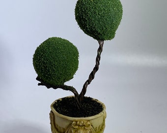 Miniature topiary plants haunted dollhouse plant