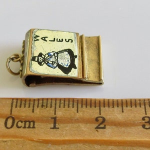 Pu&ograve; includere: Ciondolo dorato con apertura a cerniera. La parte anteriore presenta un'immagine colorata di una donna in costume tradizionale gallese con la parola "WALES" sopra di lei. Il ciondolo &egrave; lungo circa 1 cm.