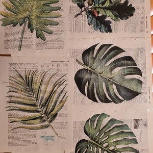 Leaf Themed Dictionary Page Prints, Set of 5