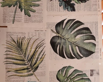 Leaf Themed Dictionary Page Prints, Set of 5