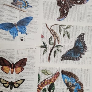 Butterfly Themed Dictionary Page Prints, Set of 5