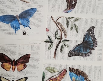 Butterfly Themed Dictionary Page Prints, Set of 5