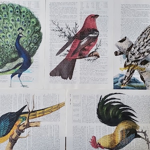 Bird Themed Dictionary Page Prints, Set of 5