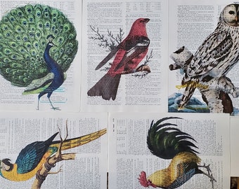 Bird Themed Dictionary Page Prints, Set of 5