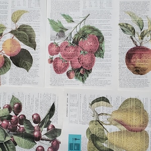Fruit Themed Dictionary Page Prints, Set of 5