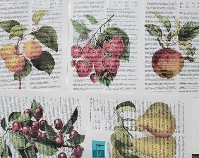 Fruit Themed Dictionary Page Prints, Set of 5