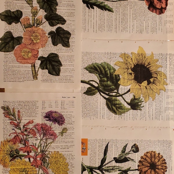 Wildflowers Themed Dictionary Page Prints, Set of 5