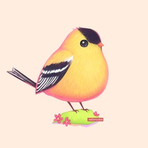 goldfinch bird art - cute bird print, chubby bird painting, bird lovers art, backyard birds, big eyes, yellow 8x8