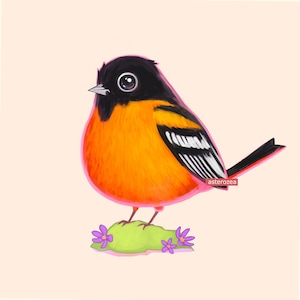 oriole bird art - cute bird print, chubby bird painting, bird lovers art, backyard birds, big eyes, orange 8x8