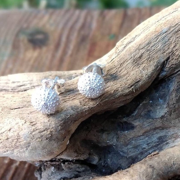 Puces d'oreilles petits oursins en argent sterling