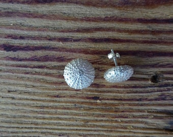 Sterling silver sea urchin stud earrings