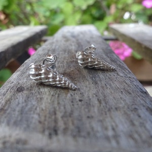 May include: A pair of silver shell-shaped earrings. The earrings are small and delicate, and they have a natural, organic look.