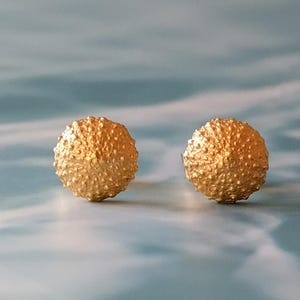 Gold plated tiny sea urchin stud earrings