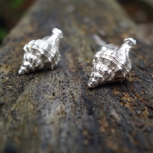 May include: A pair of silver shell-shaped earrings. The earrings are small and delicate, and they have a natural, organic look.
