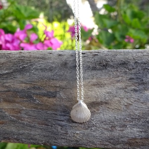 Sterling silver tiny seashell pendant