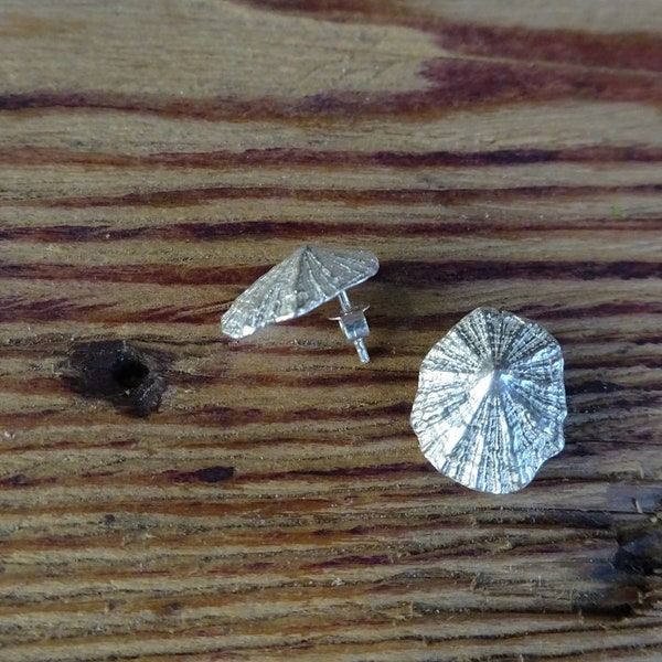 Sterling silver limpet stud earrings