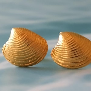 Könnte beinhalten: Ein Paar goldfarbene Muschel-Ohrstecker. Die Ohrringe sind wie Muscheln geformt und haben detaillierte Rillen. Der Hintergrund ist hellblau und erzeugt eine Strandästhetik.