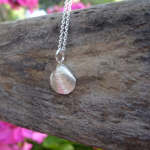 Puede incluir: Un collar de plata con un pequeño colgante de concha de mar detallado. El collar está colgado de un trozo de madera a la deriva con flores rosas en el fondo.