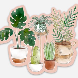 Potted Plants Watercolor with Pink Background Sticker, 3.75x3.25in. image 5