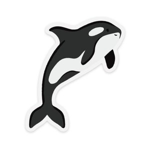 Clear Orca Sticker, 2.78×3.2in.