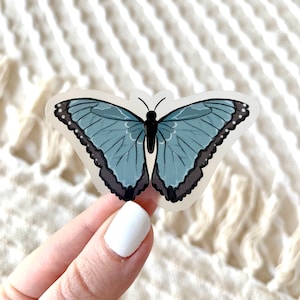 Autocollant papillon Morpho bleu commun, 2.5x1.5in. image 1