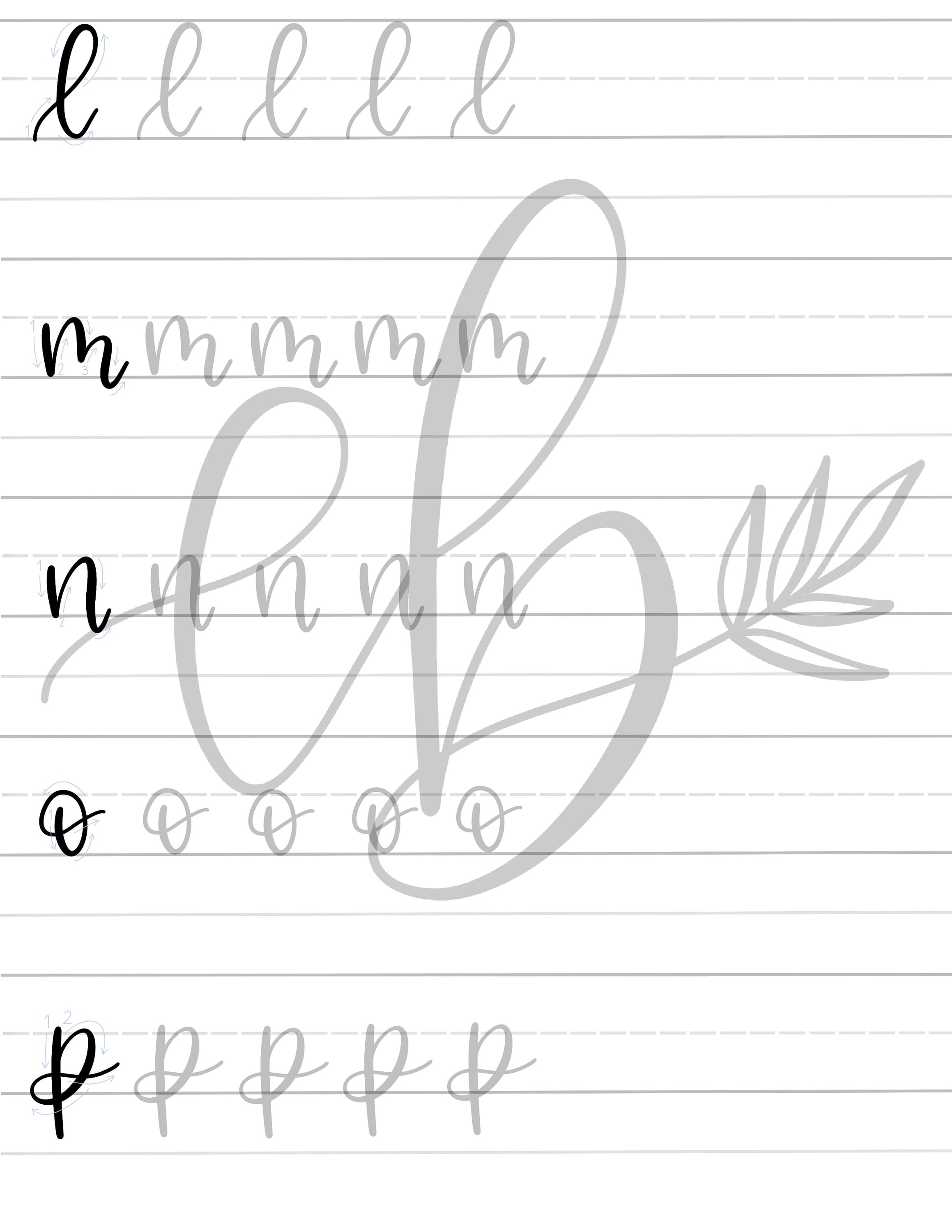 Script N Lowercase Calligraphy Lowercase N
