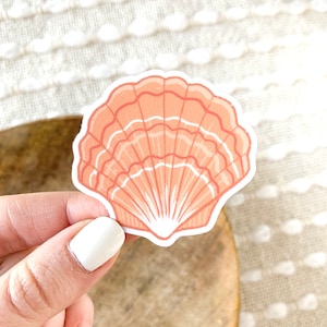 Scallop Shell Sticker, 2x2 in.