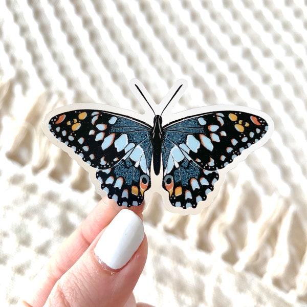 Autocollant papillon moucheté bleu, 2.5x1.5in.