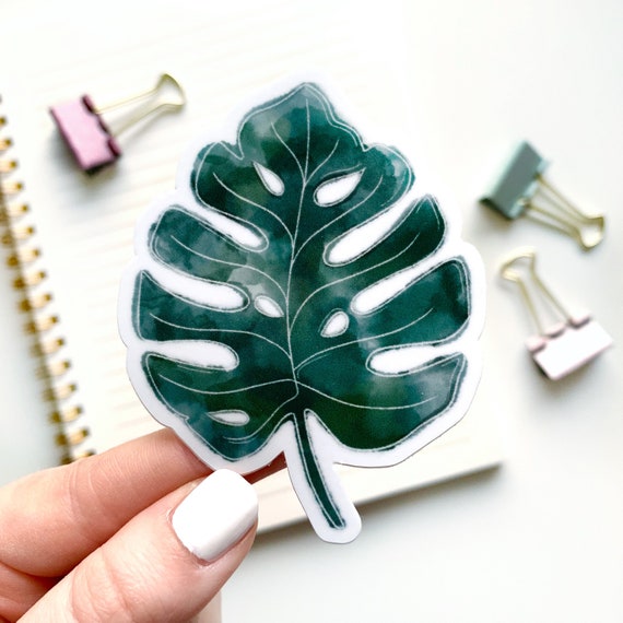 Watercolor Monstera Leaf Sticker, 3x2.5in. - Etsy