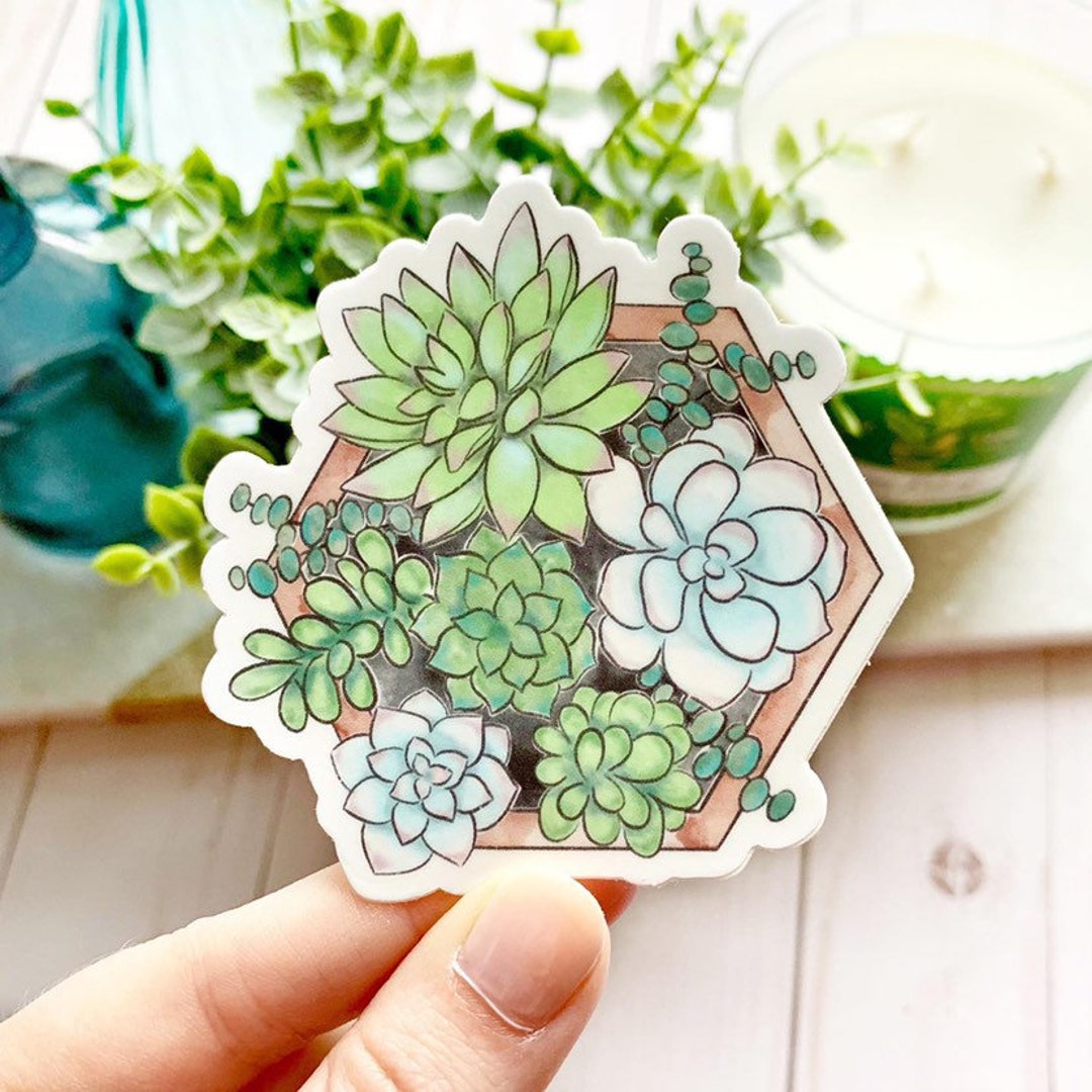 Watercolor Succulent Planter Sticker, 3x3 In. - Etsy