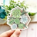 Watercolor Succulent Planter Sticker, 3x3 in.