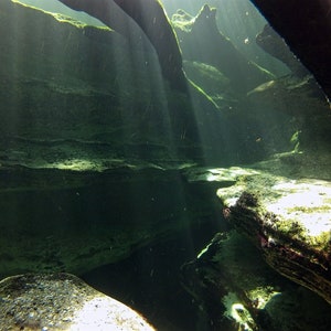 Blue Spring Underwater Photography 2