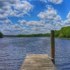 Gemini Springs Park Nature Trail Photography 1