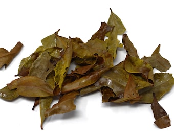 Mitocha Makibi Kancha Japanese Firewood Winter Green Tea 25g