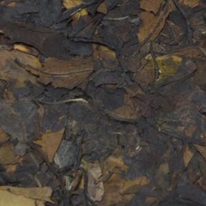 May include: Close-up of a compressed tea cake, showcasing a mix of dark brown and tan tea leaves. The leaves have a textured appearance, with visible veins and varying shades of brown and tan. The tea leaves are tightly packed together.