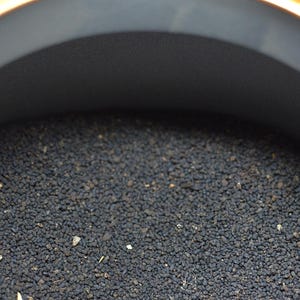 May include: Close-up of a container filled with small, dark granules. The container has a light orange rim and a dark gray interior. The granules fill the container, creating a textured surface. The image is well-lit, highlighting the details of the granules.
