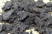     Trust #7 1989 Ripe Puerh 14g