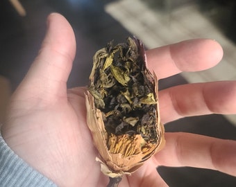 2023 Lotus Flower filled with Guangxi Orchid Black Tea 16g